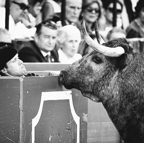 image : Photo de Phillipe Latour - Lauréat du Concours photo taurine 2023 - Mont de Marsan