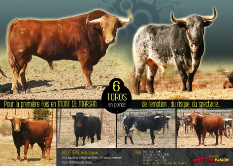 image : Toros du recorte madeleine 2010