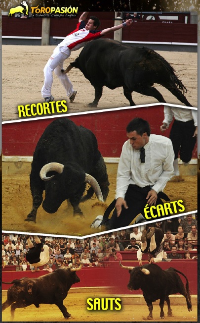 image : figures de recorte